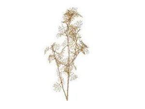 FOGLIA ANEMONE RAMO H.83 CM.GOLD